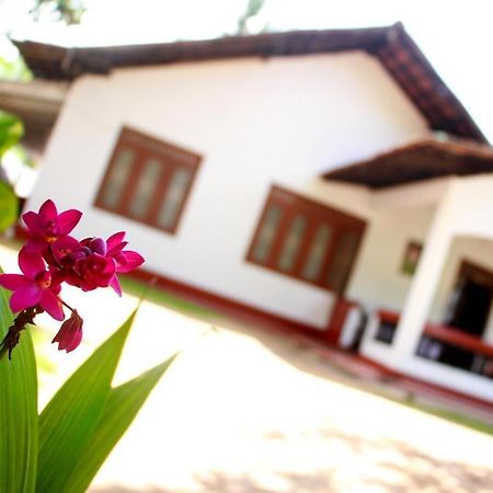 Celine'S Home Mirissa Zewnętrze zdjęcie