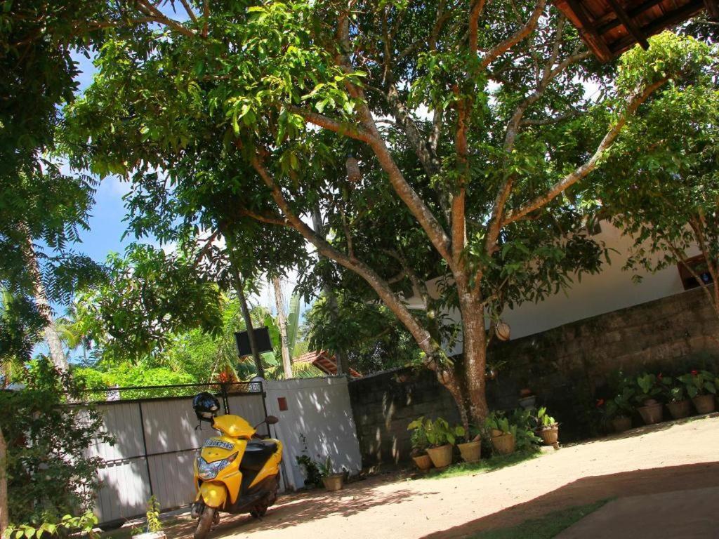 Celine'S Home Mirissa Zewnętrze zdjęcie