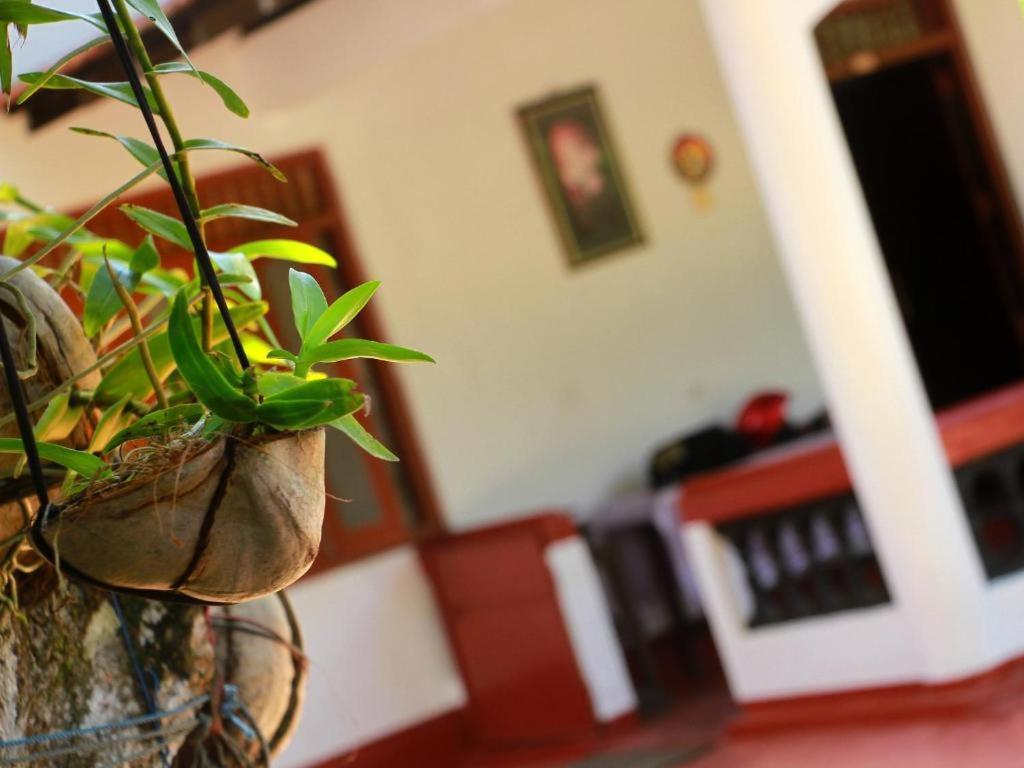 Celine'S Home Mirissa Zewnętrze zdjęcie