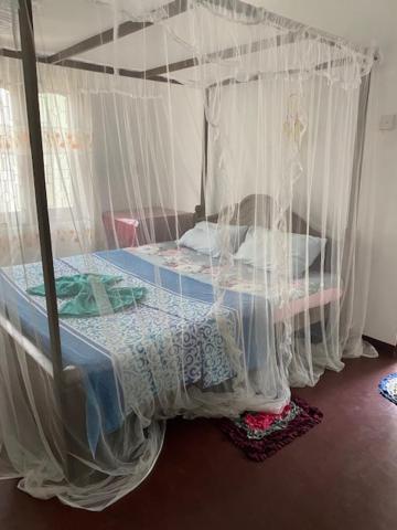 Celine'S Home Mirissa Zewnętrze zdjęcie