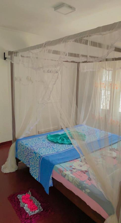 Celine'S Home Mirissa Zewnętrze zdjęcie